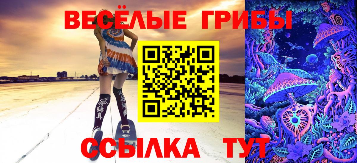 Галлюциногенные грибы мицелий Лесосибирск